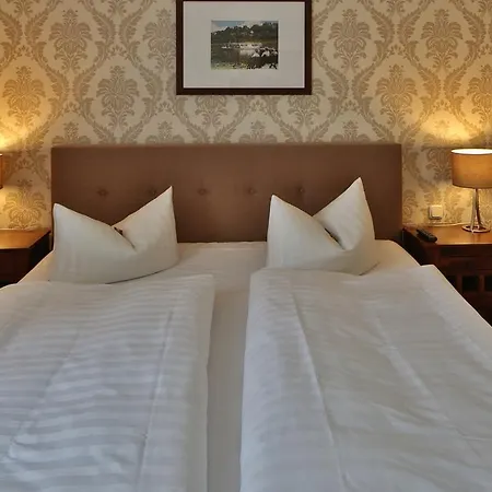 Elefant Schwerin (Mecklenburg-Vorpommern)